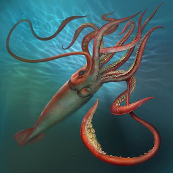 伝説のumaクラーケン 海の怪物の目撃事例とその正体 ギベオン 宇宙 地球 動物の不思議と謎